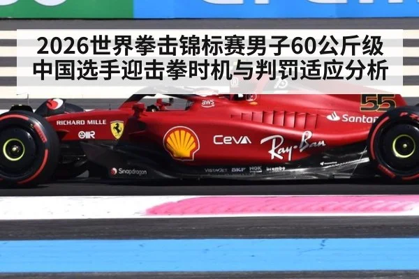 2026世界拳击锦标赛男子60公斤级中国选手迎击拳时机与判罚适应分析